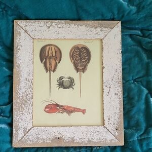 Vintage Sea Life Art Print in 100 Year Old Salvaged Wood Frame | Crabs & Lobster